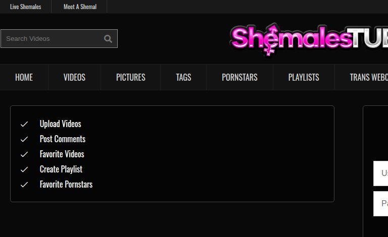 Promote Your Shemale Content for Free on ShemalesTube.com