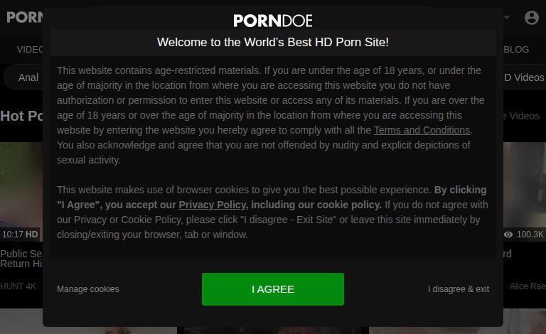 PornDoe: Refresh Your Adult Content with High-Quality Vanilla Porn and More